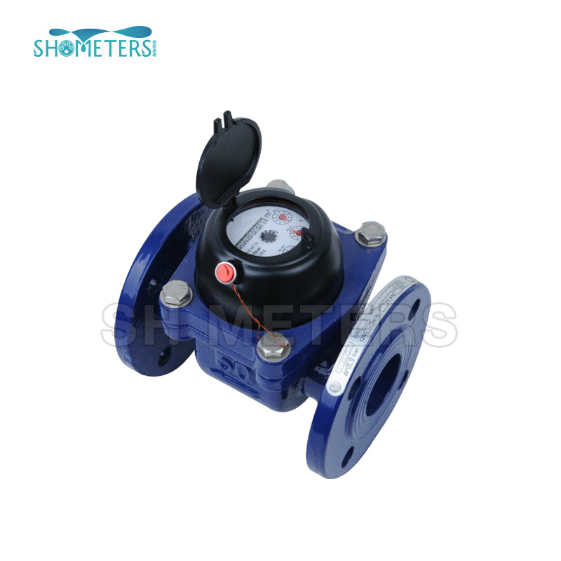 DN300 Removable Large Caliber Turbine Irrigate Water Meter