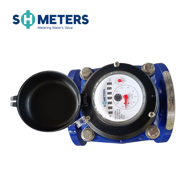 Woltman Water Meter with Pulse Removable Woltman Water Meter